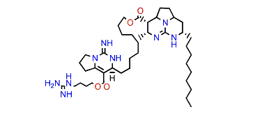 Batzelladine A